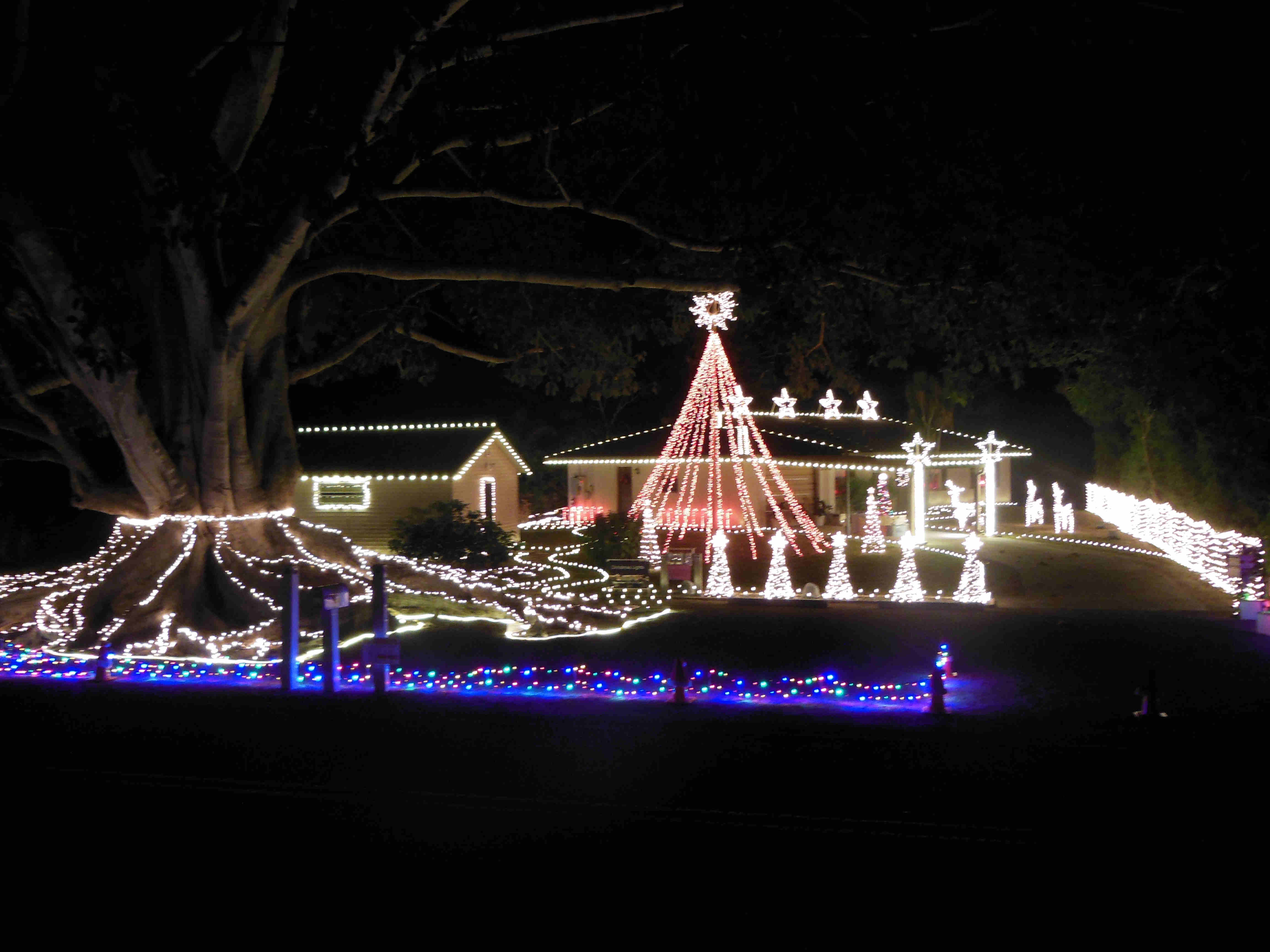 The Over The Top Christmas Lights site which is also part of the Mysore Fig Tree site.